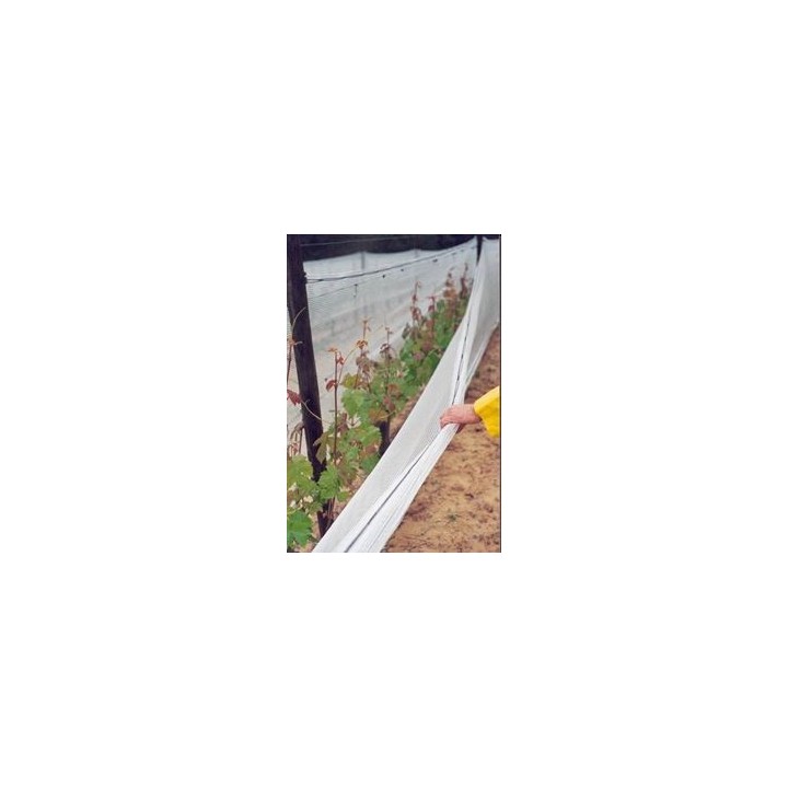 copy of 